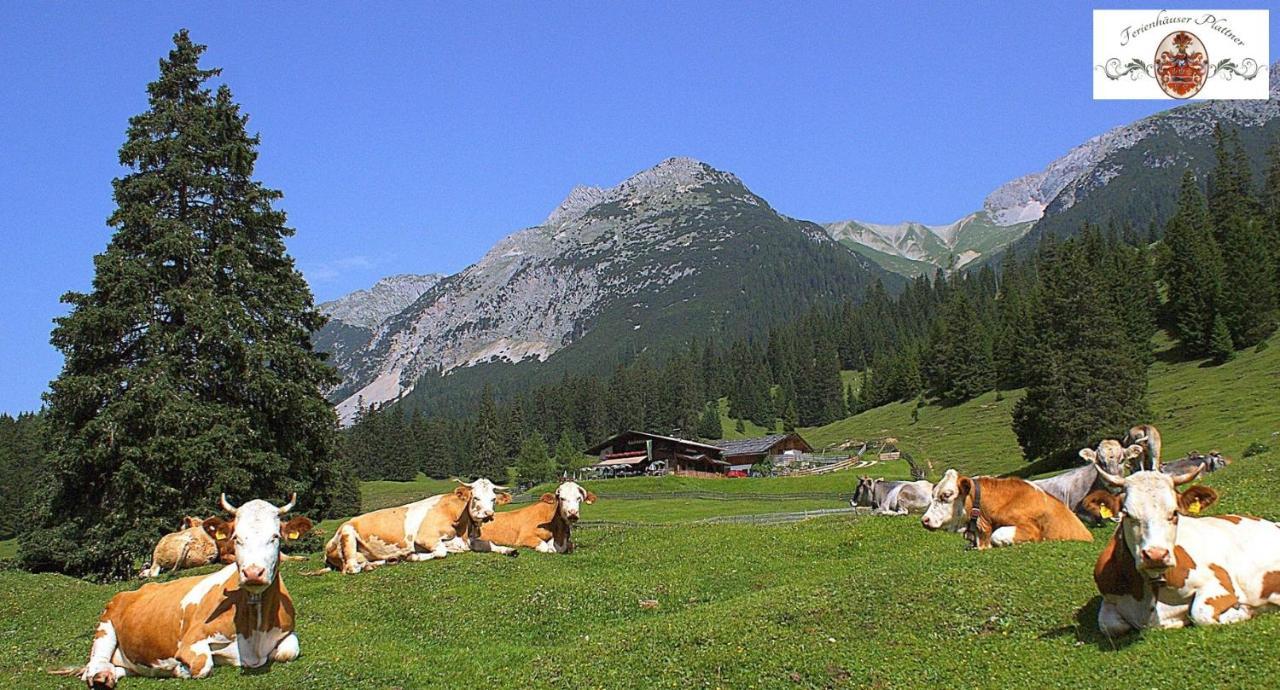Ferienhaus Erika Seefeld in Tirol Exterior foto